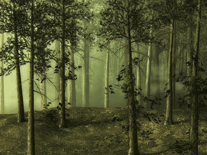 Background event cover Background event cover